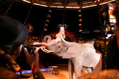 Best of Circus-Aufnahmen von Fotograf Claus Troendle vom Shooting im Circus KRONE am 16. Februar 2006