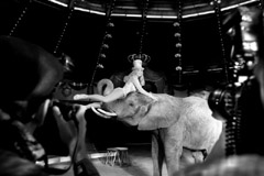 Best of Circus-Aufnahmen von Fotograf Claus Troendle vom Shooting im Circus KRONE am 16. Februar 2006